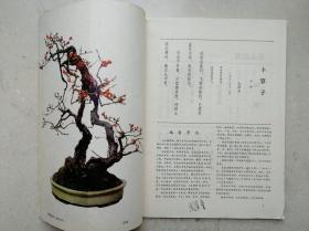 1984年大16开创刊号《花木盆景》