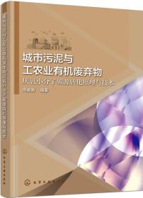 城市污泥与工农业有机废弃物：厌氧小分子碳源转化原理与技术化学工业出版社周爱娟