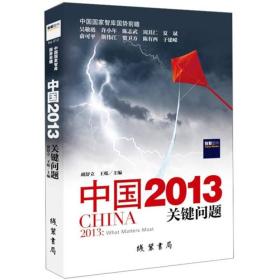 中国2013关键问题