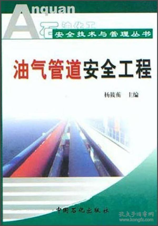 石油化工安全技术与管理丛书：油气管道安全工程