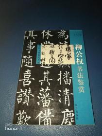 中国书画鉴赏大系：＜柳公权书法鉴赏＞