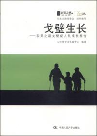 戈壁生长:玄奘之路戈壁成人礼成长报告