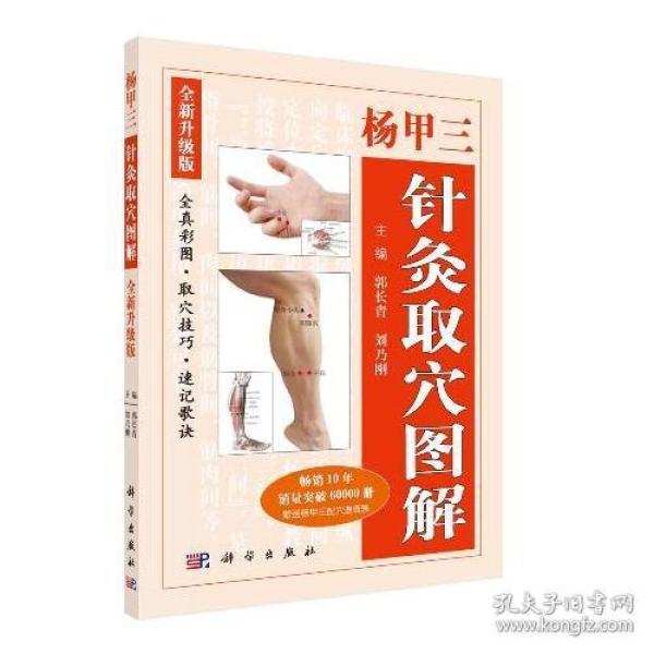 杨甲三针灸取穴图解（全新升级版）