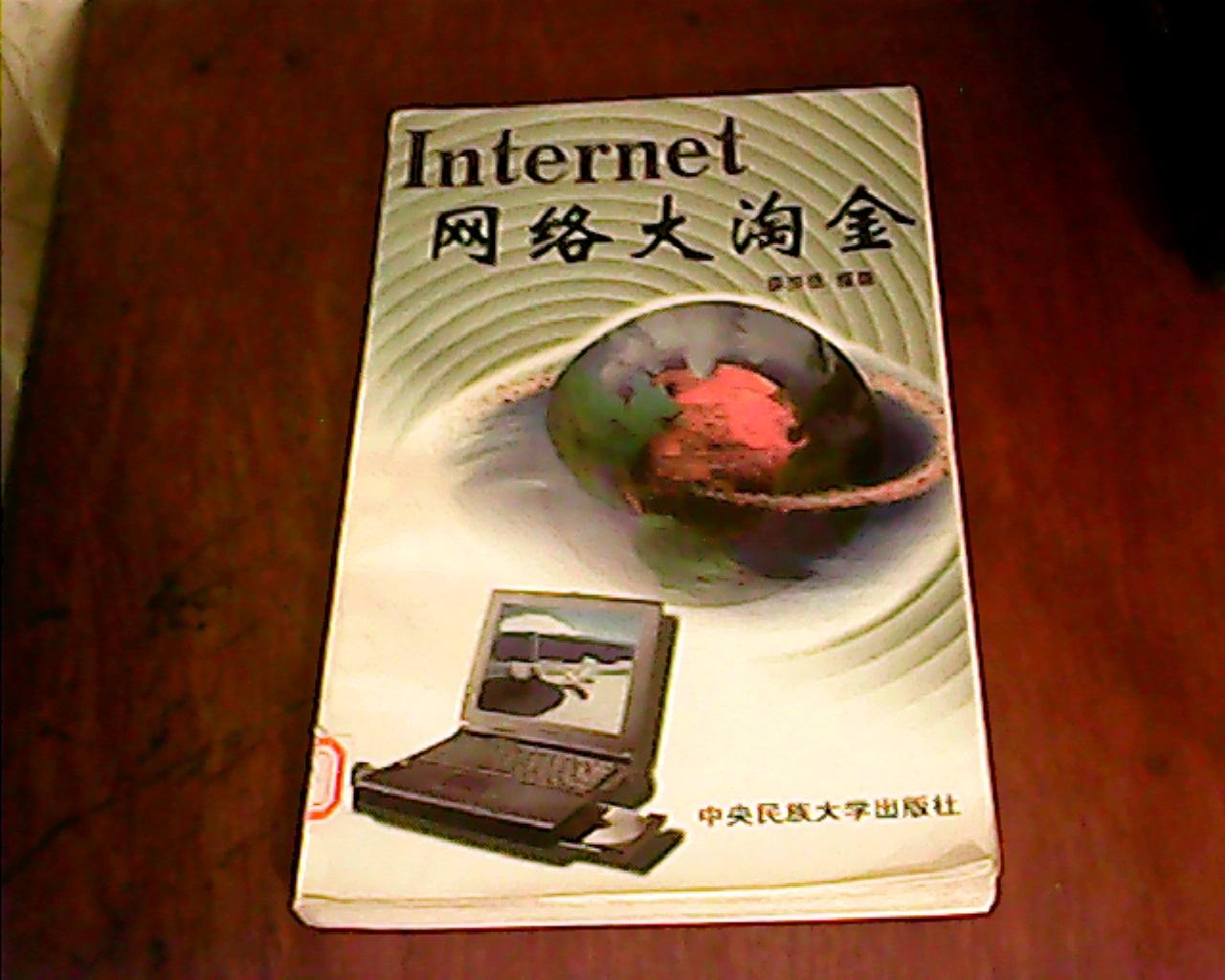 Internet網(wǎng)絡(luò)大淘金(館藏書)