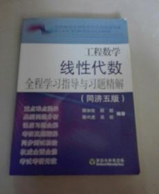 工程数学线性代数全程学习指导与习题精解（同济5版）