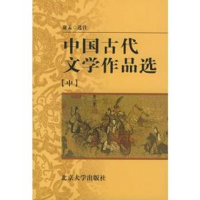 【正版二手】中国古代文学作品选  佚名  北京大学出版社  9787301000571