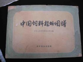 1959年北京出版的---16开厚册大本---彩色图谱资料--【【中国饲料植物图谱】】--农业部主编---少见