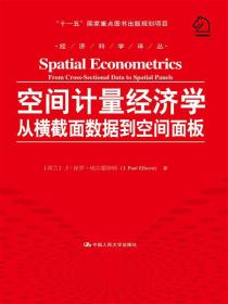 空间计量经济学：从横截面数据到空间面板/经济科学译丛；“十一五”国家重点图书出版规划项目