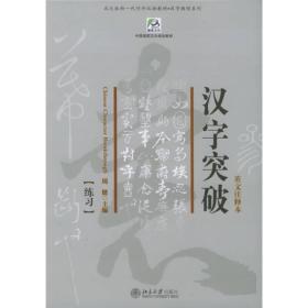 一代对外汉语教材·汉字教程系列：汉字突破（英文注释本）（北大版）（共2册）