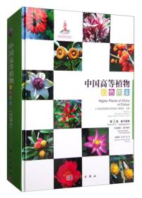 中国高等植物彩色图鉴·第三卷：木麻黄科-莲叶桐科