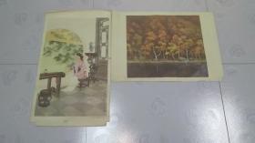 王铁牛 王叔晖 画 2幅