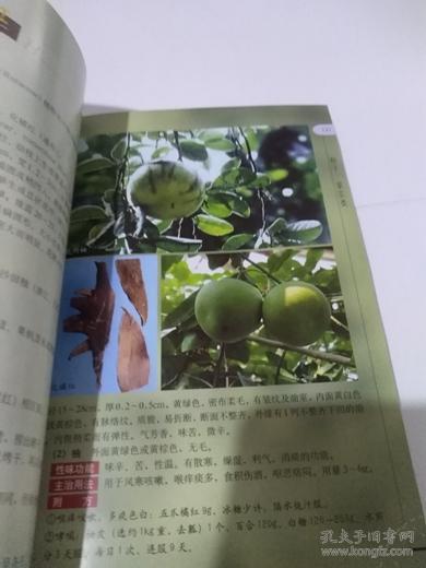 实用中草药原色图谱（二）花类及种子果实类