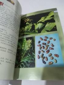 实用中草药原色图谱（二）花类及种子果实类