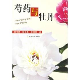 芍药与牡丹
