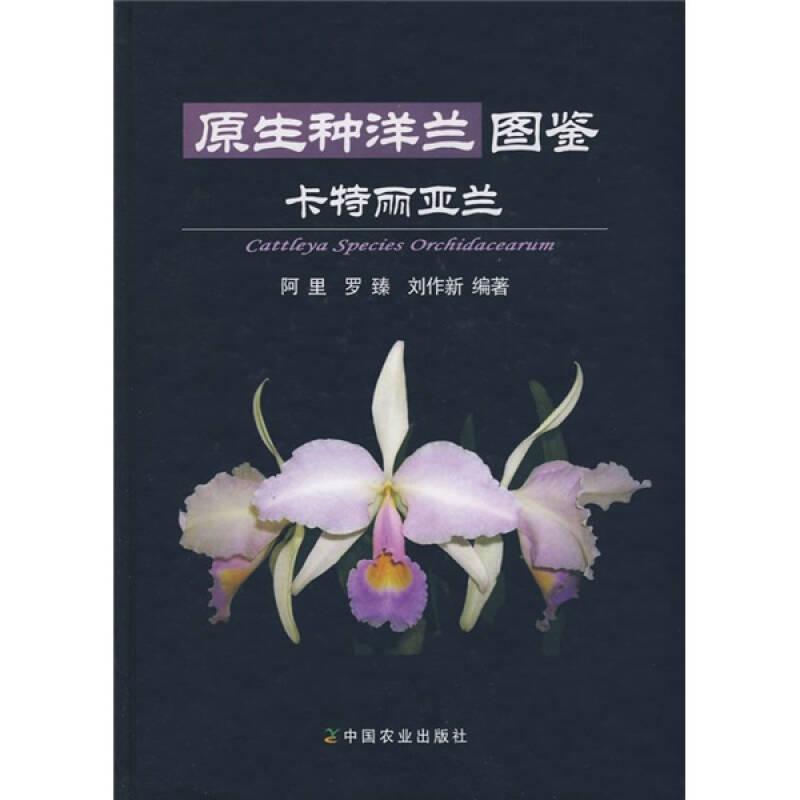 原生種洋蘭圖鑒：卡特麗亞蘭