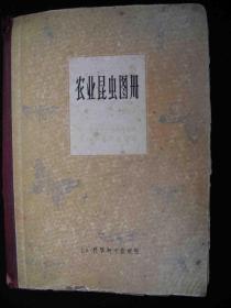 1964年出版的精装本----图片资料--【【农业昆虫图谱】】---稀少