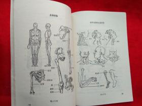 绘画技法自学丛书：解剖