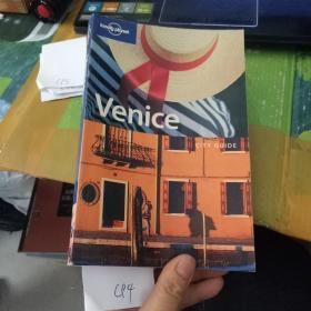 Lonely Planet  venice