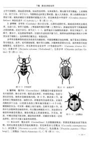 植物病虫害生物防治学（第二版）