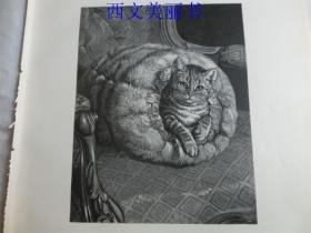 【现货 包邮】1883年木刻版画《冬栖地》可爱的猫咪（Winterquartier）  尺寸约40.8*27.5厘米（货号 18027）