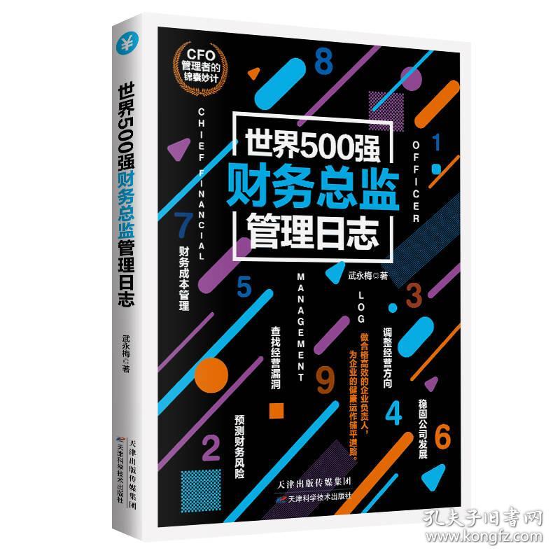 世界500强财务总监管理日志 武永梅 天津科学技术出版社