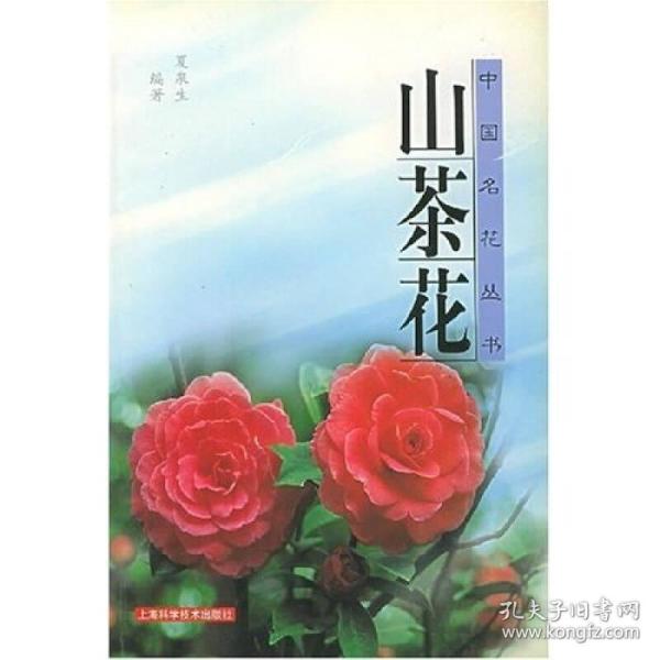 山茶花