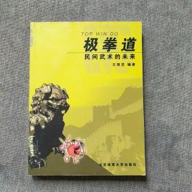 极拳道——民间武术的未来