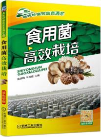 食用菌高效栽培技术书 蘑菇种植书 菌类农业种植技术大全书籍 食用菌菌种制作 木腐型食用菌高效栽培 草腐型食用菌高效栽培 珍稀食用菌高效栽培 食用菌病虫害诊断与防治