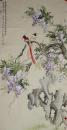 河南省美术家协会会员许老师纯手绘花鸟作品，包真迹