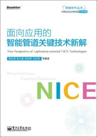 转型时代丛书：面向应用的智能管道关键技术新解