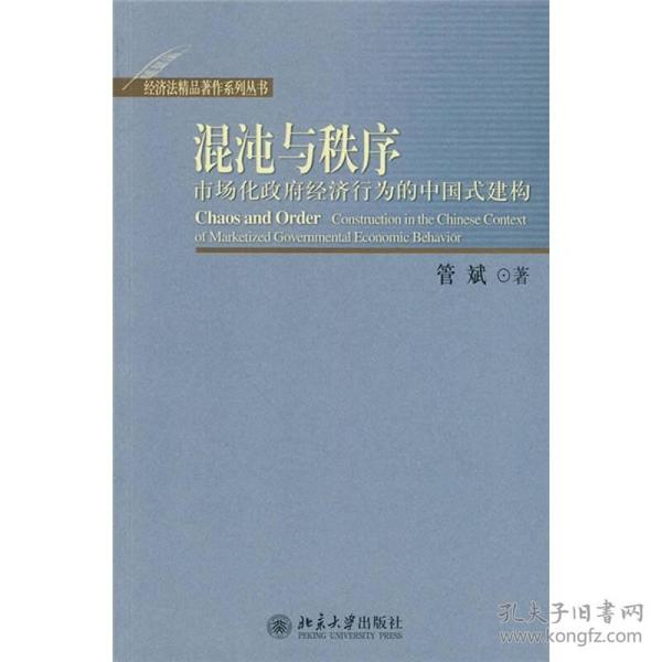 混沌与秩序：市场化政府经济行为的中国式建构