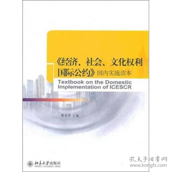 （二手书）《经济.社会.文化权利国际公约》国内实施读本 黄金荣 北京大学出版社 2011年1月 9787301181362