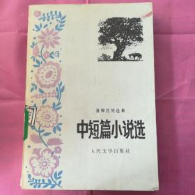 中短篇小说选一聂姆佐娃选集