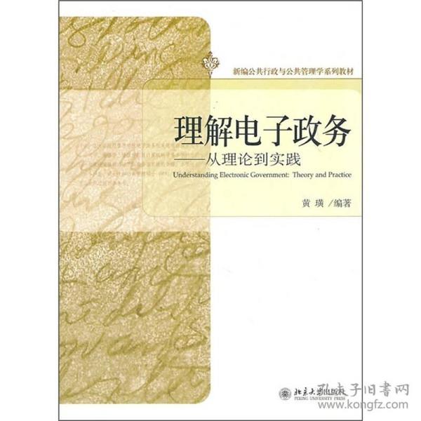 理解电子政务——从理论到实践   北京大学出版社