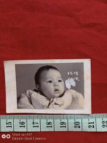 儿童纪念照片13--七八十年代杨倩小朋友100天纪念老照片
