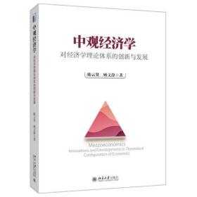 中观经济学：对经济学理论体系的创新与发展