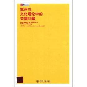 批评与文化理论中的关键问题