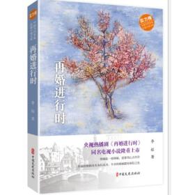 再婚进行时（中国当代作家长篇小说文库）