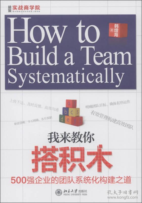 我来教你搭积木：500强企业的团队系统化构建之道