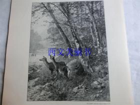 【现货 包邮】1890年木刻版画《春之曲》森林、小鹿（im frühling）尺寸约41*29厘米（货号 18023）