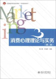 消费心理理论与实务（第2版）/全国高职高专规划教材·市场营销系列