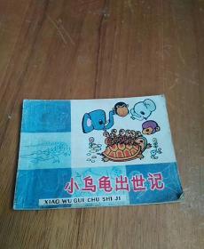小乌龟出世记
