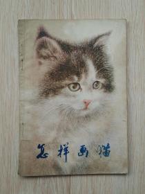 怎样画猫