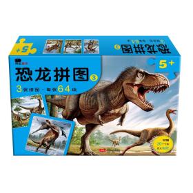 【库存书】恐龙拼图.3