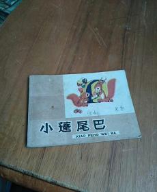 小蓬尾巴
