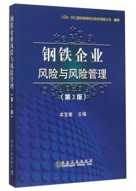 钢铁企业风险与风险管理（第2版）