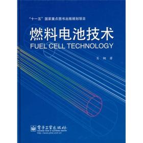 “十一五”国家重点图书出版规划项目：燃料电池技术