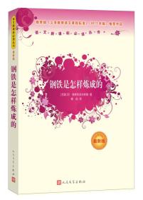 钢铁是怎样炼成的(最新版)