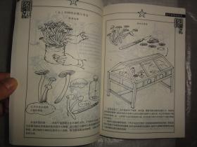 金针菇栽培技术图说（食用菌类）农业关键技术图说