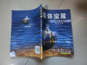 流体宝藏:石油和天然气